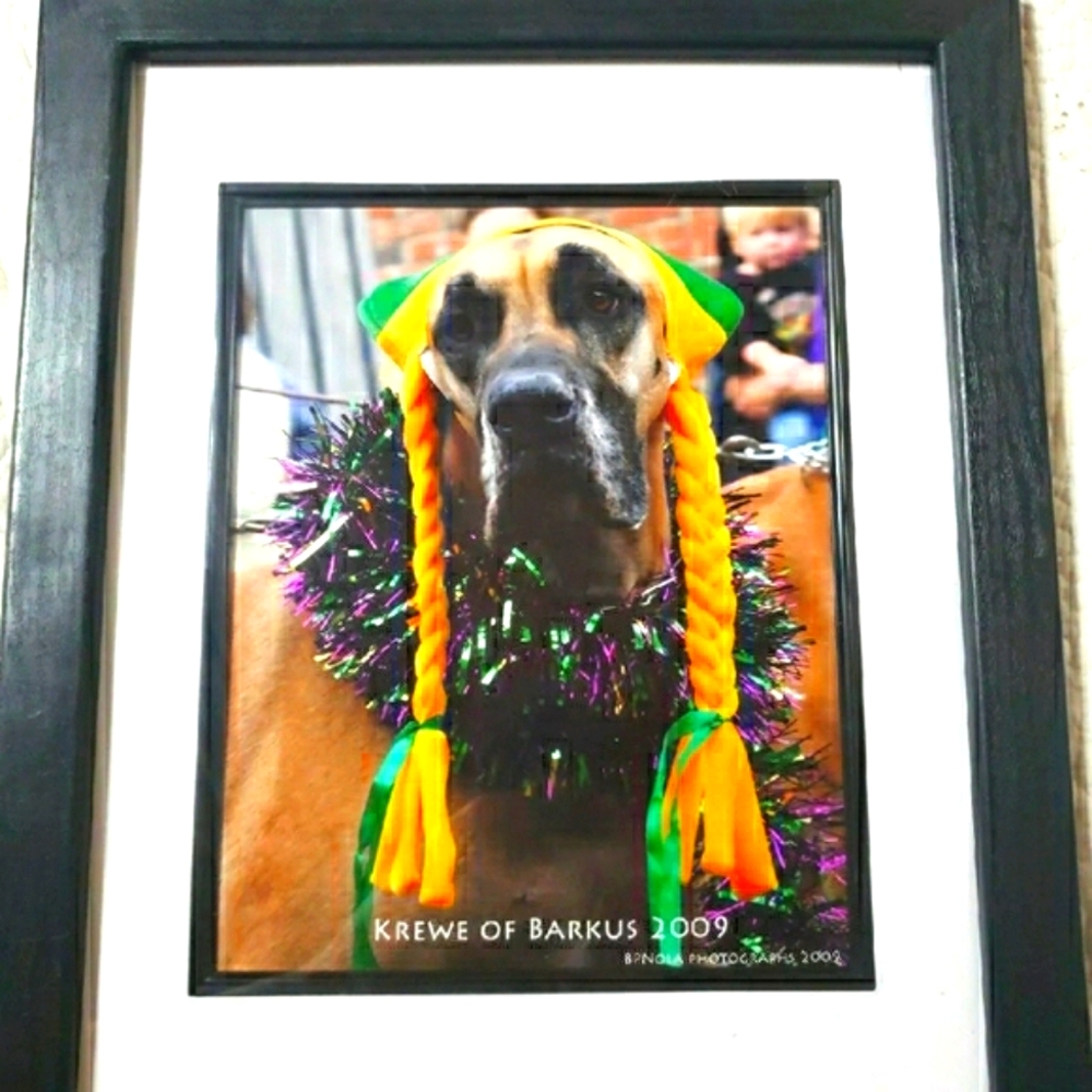 Mardi Gras Doggy Photo Framed Matted